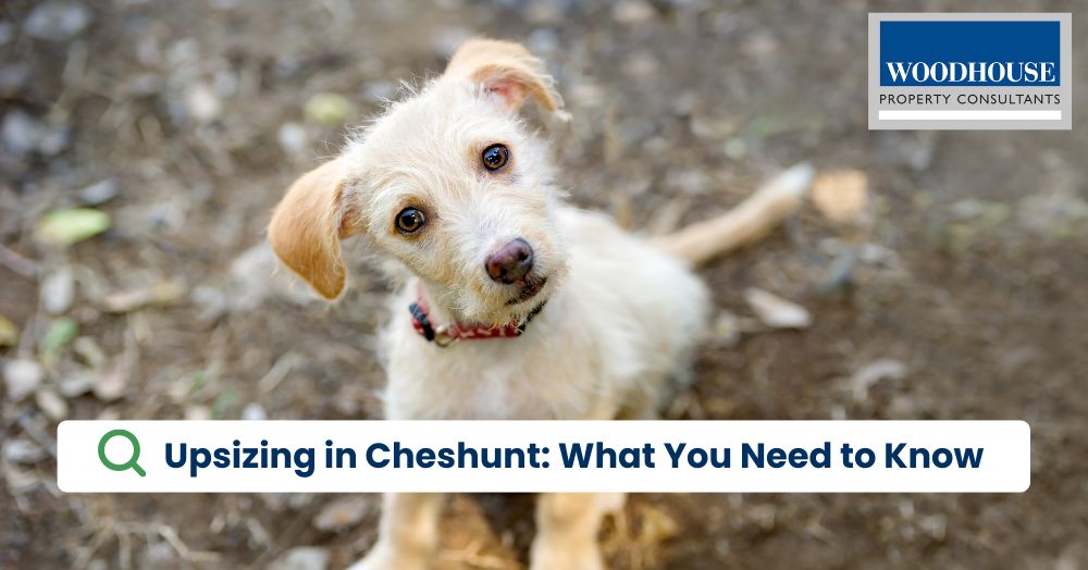 Upsizing in Cheshunt: Your Guide to Finding the Perfect New Home