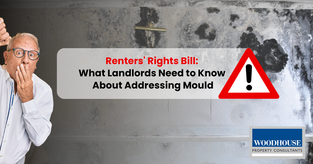 Renters' Rights Bill: What Cheshunt Landlords Need to Know About Addressing Mould